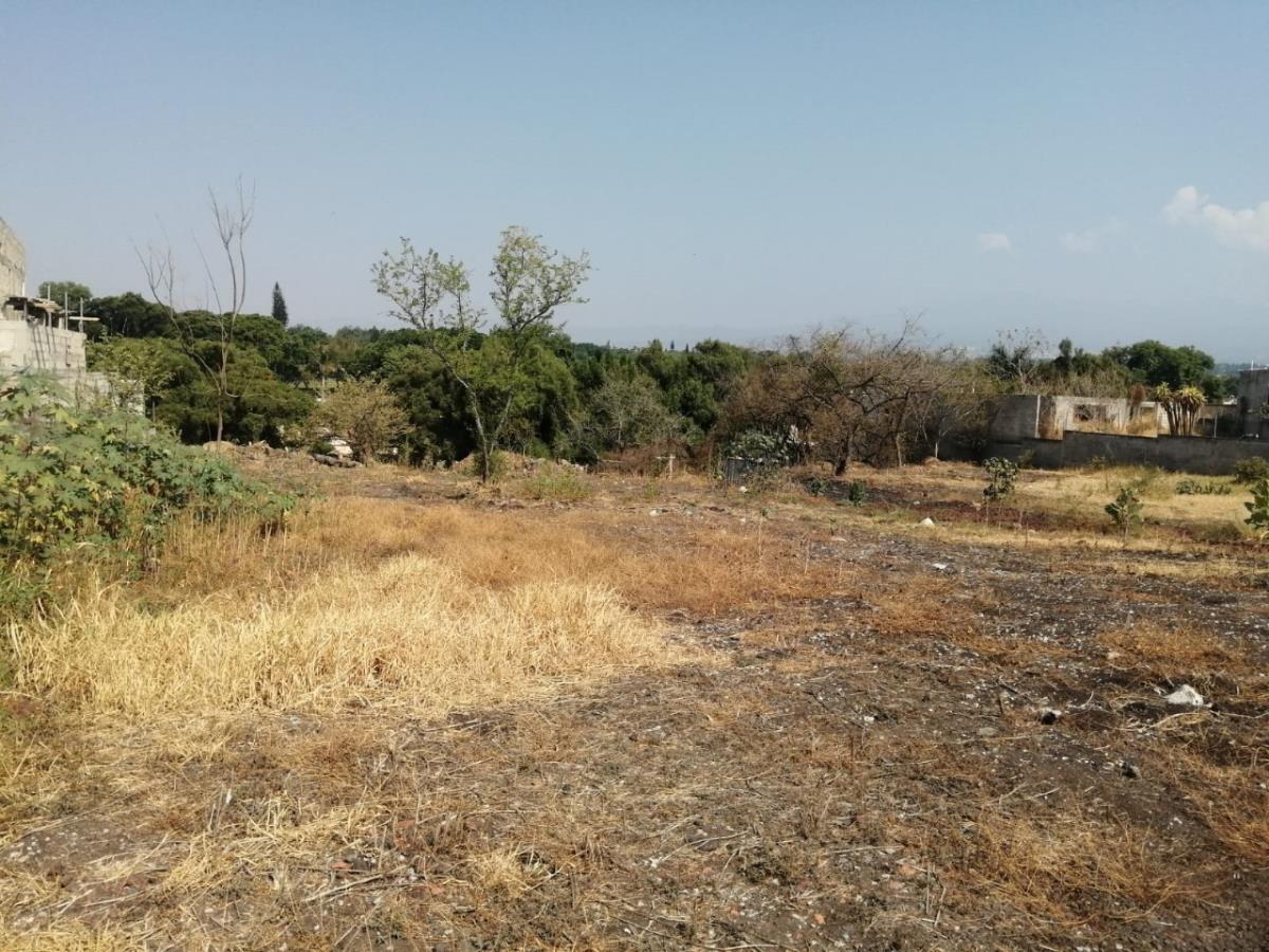 Terreno en venta en Lomas de Acapatzingo, Cuernavaca — foto 1 de 7