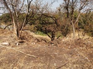 Terreno en venta en Lomas de Acapatzingo, Cuernavaca — foto 3 de 7