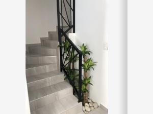Casa en venta en La Carcaña, San Pedro Cholula — foto 2 de 27