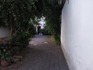 Casa en venta en San Lorenzo Huipulco, Tlalpan — foto 2 de 21