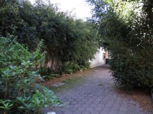 Casa en venta en San Lorenzo Huipulco, Tlalpan — foto 3 de 21