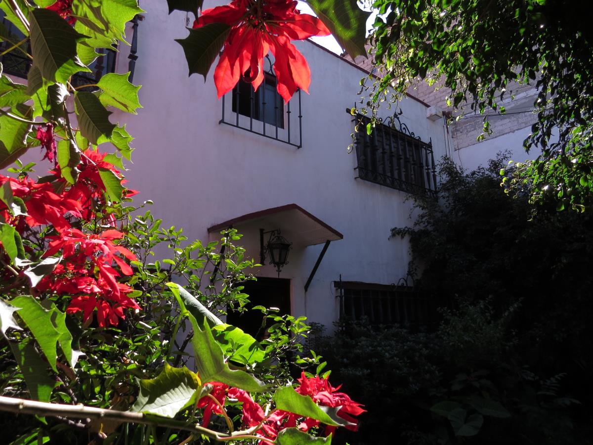 Casa en venta en San Lorenzo Huipulco, Tlalpan — foto 1 de 21