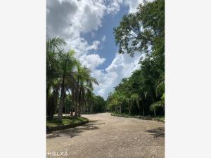 Terreno en remate en Santa Fe Cuajimalpa, Cuajimalpa de Morelos, Ciudad de México