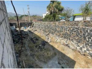 Terreno en venta en Brisas, Temixco — foto 2 de 6