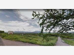 Terreno en venta en Jicarero, Jojutla — foto 2 de 6