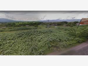 Terreno en venta en Jicarero, Jojutla — foto 3 de 6