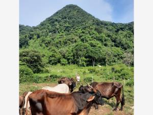 Terreno en venta en San Pedro, Tuxtla Gutiérrez — foto 2 de 3