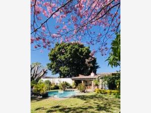Casa en venta en San Jerónimo, Cuernavaca — foto 3 de 30