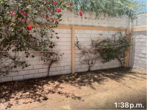 Casa en renta en Los Viñedos, Torreón — foto 2 de 14