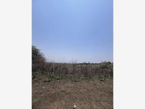Terreno en venta en Tlayacapan Centro, Tlayacapan — foto 3 de 16