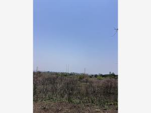 Terreno en venta en Tlayacapan Centro, Tlayacapan — foto 2 de 16