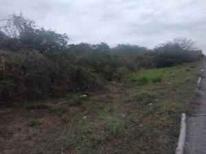 Terreno en venta en Paso del Toro, Medellín de Bravo — foto 2 de 3