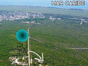 Terreno en venta en Puerto Morelos, Puerto Morelos — foto 2 de 16