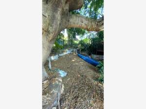 Casa en venta en Tlaltenango, Cuernavaca — foto 2 de 82