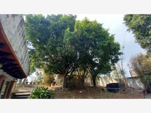 Casa en venta en Tlaltenango, Cuernavaca — foto 3 de 82