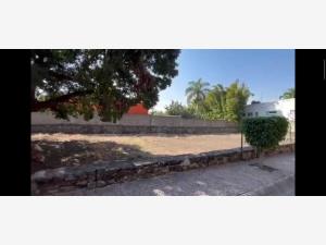 Terreno en venta en Real del Puente, Xochitepec — foto 2 de 15