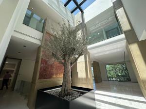 Casa en venta en Villa Montaña, San Pedro Garza García — foto 2 de 38