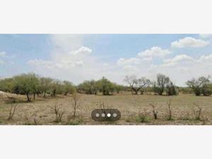 Terreno en venta en Rioverde Centro, Rioverde — foto 3 de 5