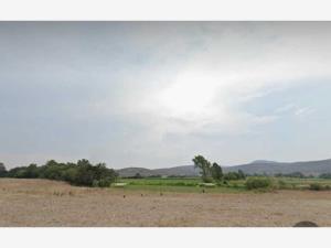 Terreno en venta en Rioverde Centro, Rioverde — foto 2 de 5