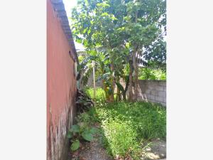 Terreno en venta en Anton Lizardo, Alvarado — foto 3 de 8