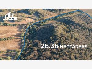 Terreno en venta en El Quelite, Mazatlán — foto 3 de 7