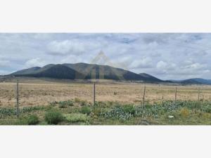 Terreno en San Antonio de las Alazanas, Arteaga, Coahuila de Zaragoza
