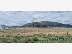 Terreno en venta en San Antonio de las Alazanas, Arteaga — foto 2 de 4