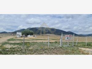 Terreno en venta en San Antonio de las Alazanas, Arteaga — foto 3 de 4