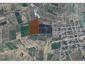 Terreno en San Antonio de las Alazanas, Arteaga, Coahuila de Zaragoza