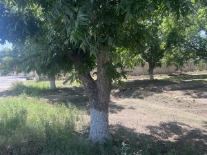Terreno en venta en Las Trojes, Torreón — foto 3 de 8