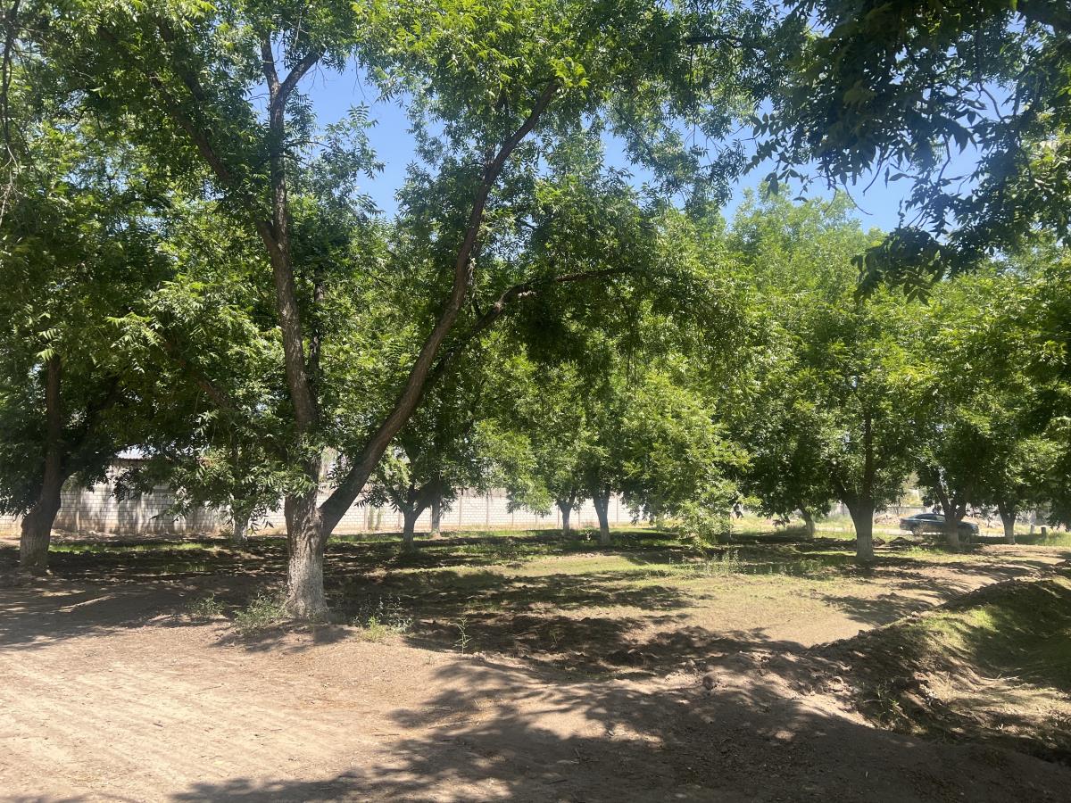 Terreno en Venta en Las Trojes, Torreón, Coahuila de Zaragoza