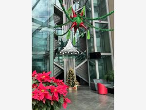 Departamento en venta en Cantarranas, Cuernavaca — foto 3 de 13