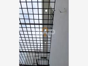Casa en venta en Carlos de la Madrid, Villa de Álvarez — foto 3 de 12