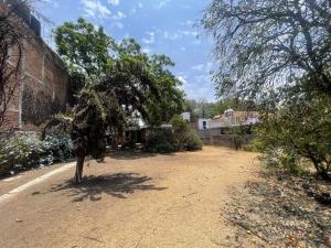 Terreno en venta en Los Alpes, Álvaro Obregón, Ciudad de México