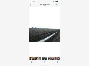 Terreno en venta en Las Margaritas, San Andrés Tuxtla — foto 3 de 7