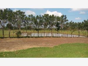 Terreno en venta en Juan Díaz Covarrubias Centro, Hueyapan de Ocampo — foto 2 de 28