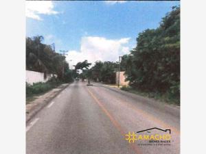 Terreno en venta en Residencial Campestre, Benito Juárez — foto 2 de 10