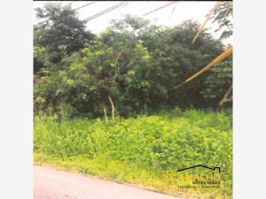 Terreno en venta en Residencial Campestre, Benito Juárez — foto 3 de 10