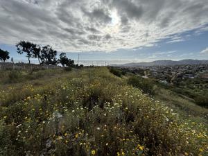 Terreno en venta en Aguajito, Ensenada — foto 3 de 11