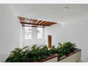 Casa en venta en Lomas de las Aguilas, Álvaro Obregón — foto 3 de 15