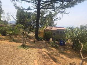 Casa en venta en Patzcuaro Centro, Pátzcuaro — foto 2 de 10
