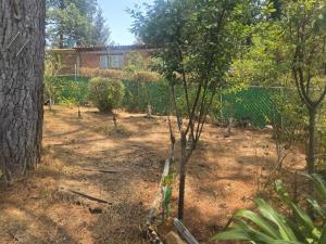 Casa en venta en Patzcuaro Centro, Pátzcuaro — foto 3 de 10
