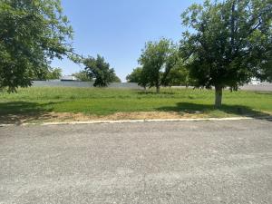 Terreno en venta en San Armando, Torreón — foto 2 de 5