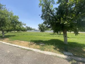 Terreno en venta en San Armando, Torreón — foto 3 de 5