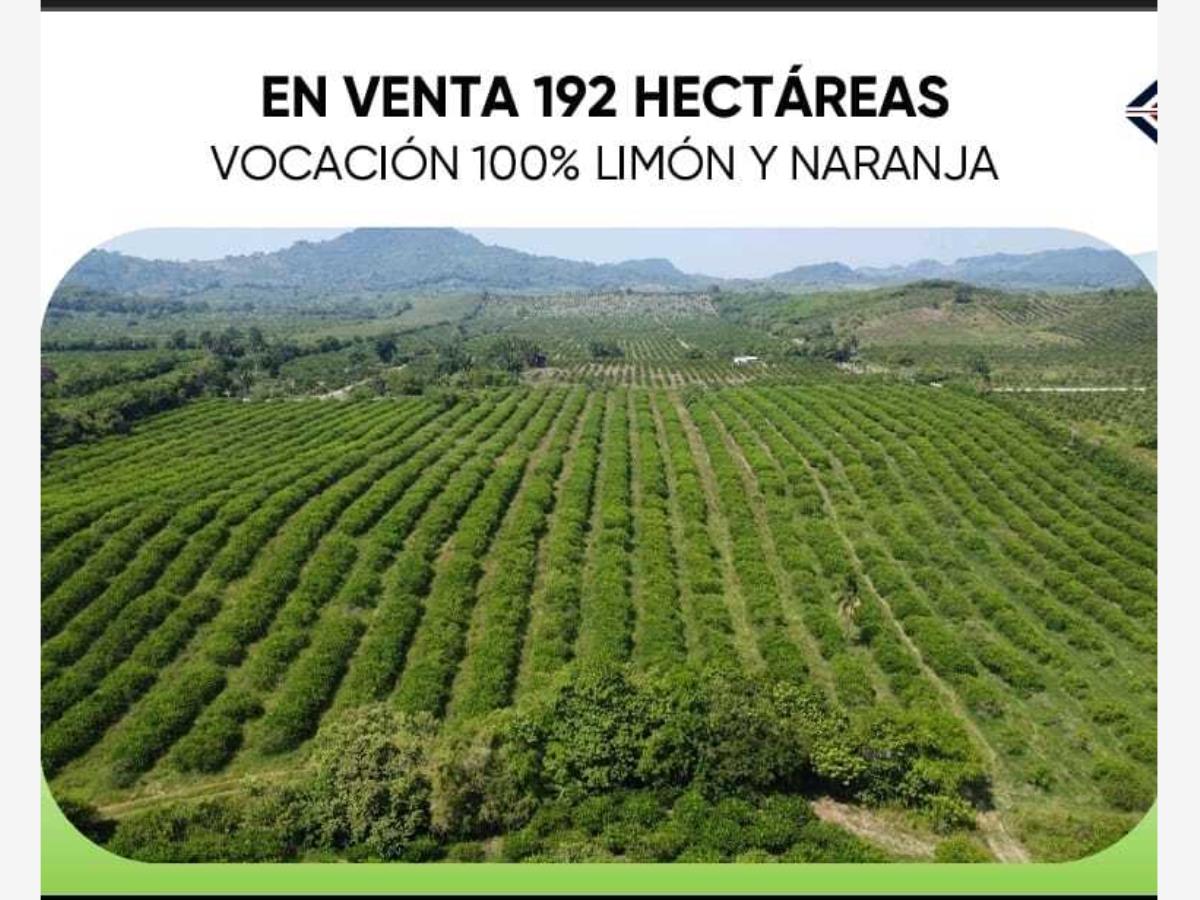 Terreno en venta en Jicaltepec, Nautla — foto 1 de 7