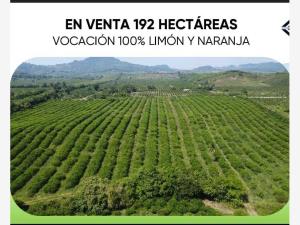 Terreno en venta en Jicaltepec, Nautla, Veracruz de Ignacio de la Llave