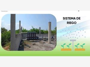 Terreno en venta en Jicaltepec, Nautla — foto 2 de 7