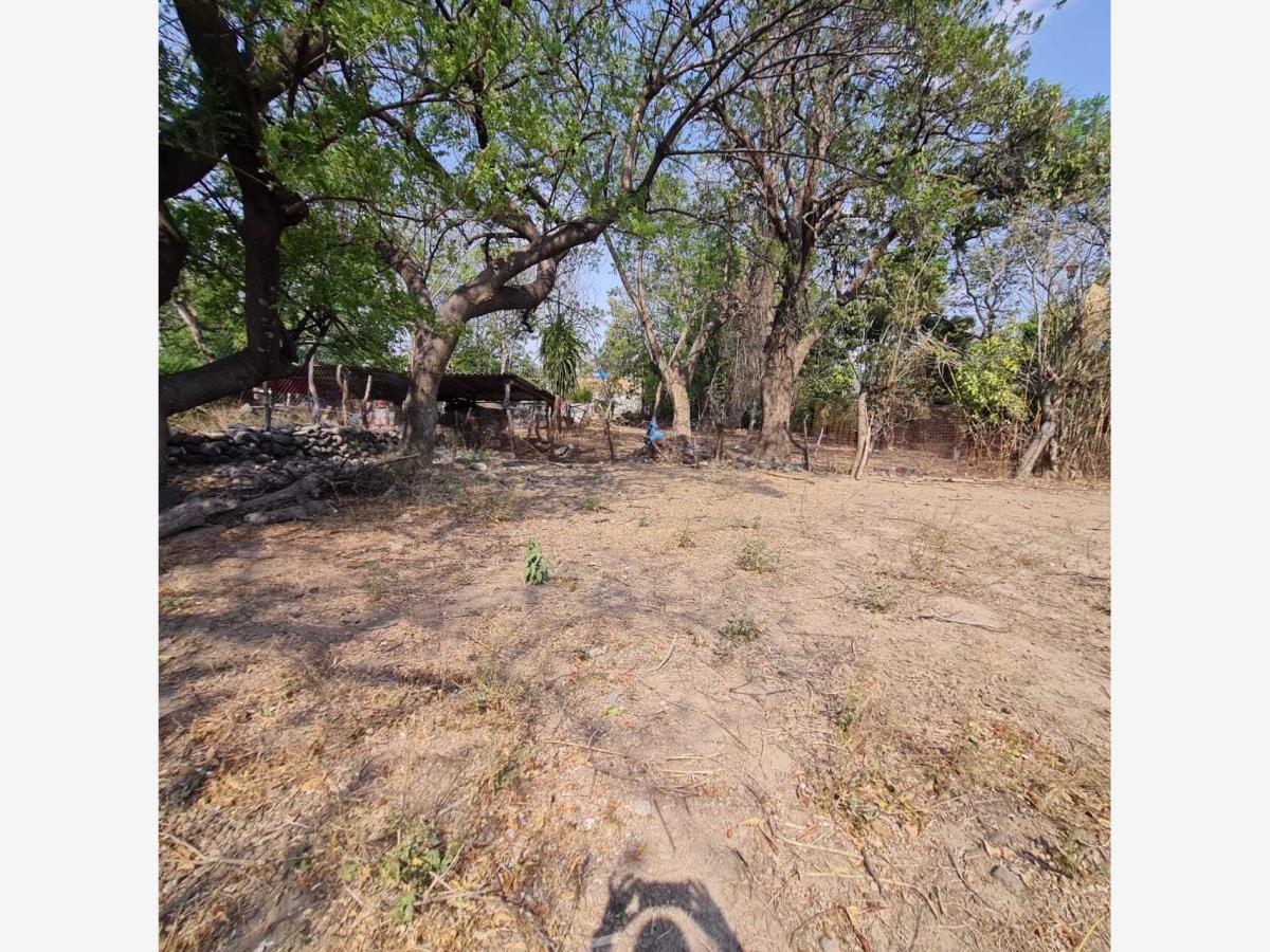 Terreno en venta en Huaquechula, Huaquechula — foto 1 de 12