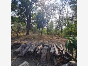 Terreno en venta en Huaquechula, Huaquechula — foto 2 de 12