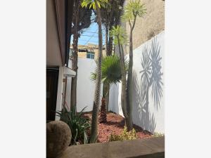 Casa en venta en Las Americas, Morelia — foto 2 de 30